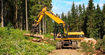 Základní rozdělení hydraulických olejů